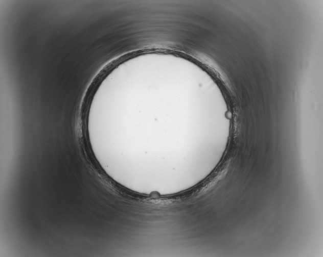 X0000103220924200809181500