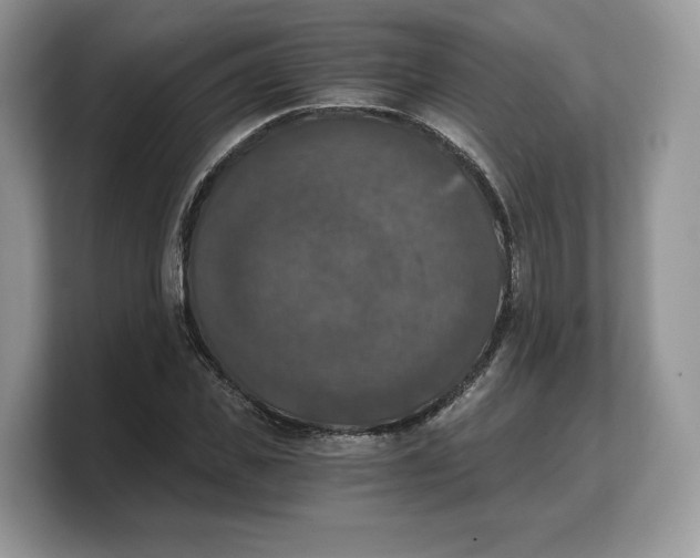 X0000103220925200809181500