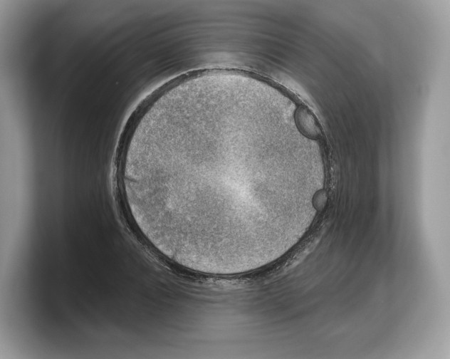 X0000103220928200809181500