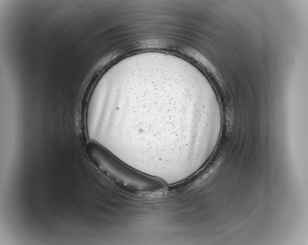 X0000103220930200809181501