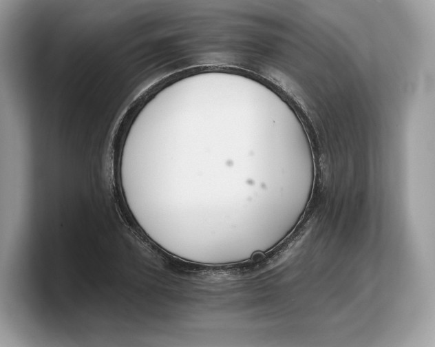 X0000103220931200809181501