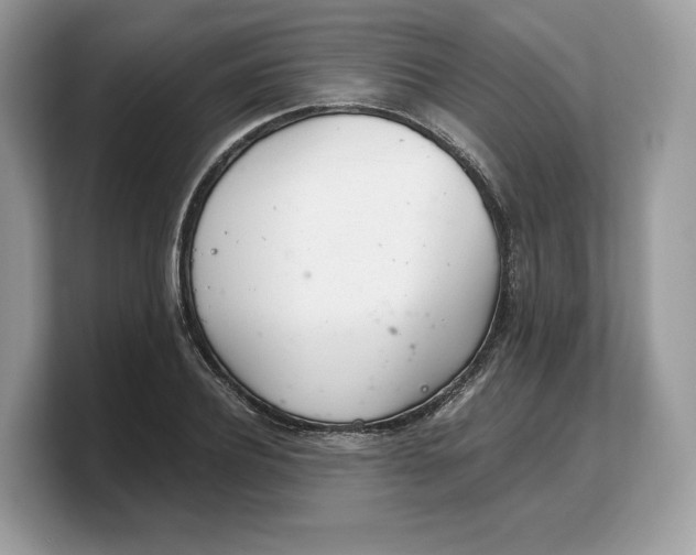 X0000103220932200809181501