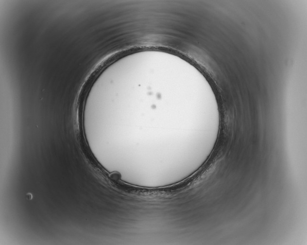 X0000103220934200809181501