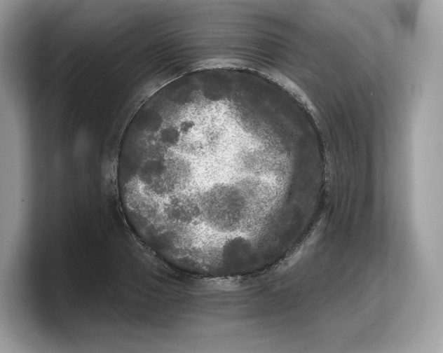 X0000103220937200809181501