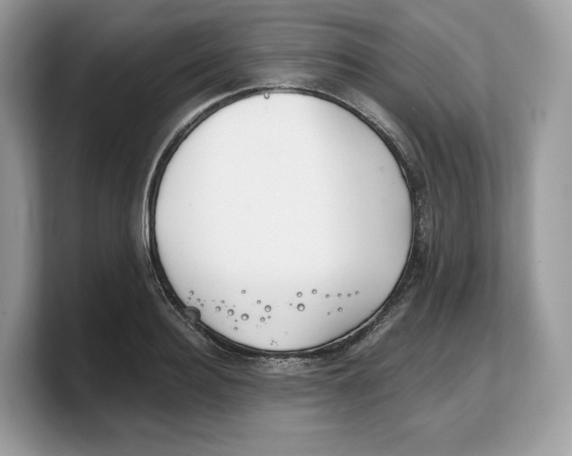 X0000103220940200809181501