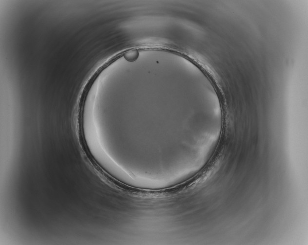 X0000103220941200809181501