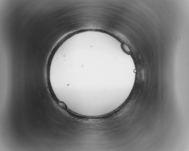 X0000103220942200809181501