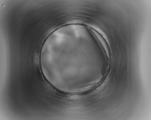 X0000103220945200809181501