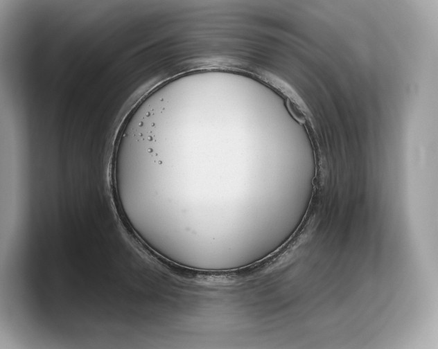 X0000103220946200809181501