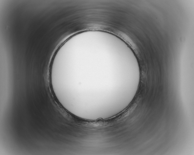 X0000103220948200809181501