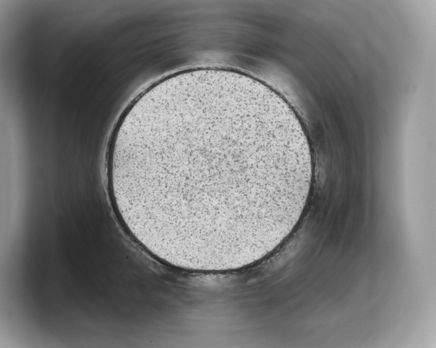 X0000103220950200809181501