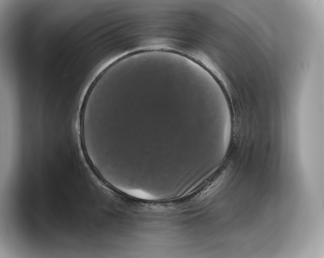 X0000103220951200809181501