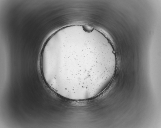 X0000103220952200809181501