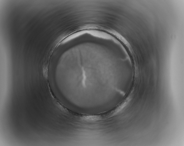 X0000103220953200809181501