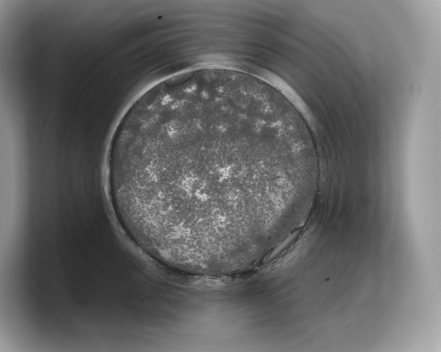 X0000103220955200809181501