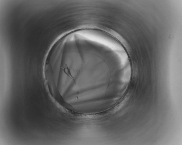 X0000103220958200809181501