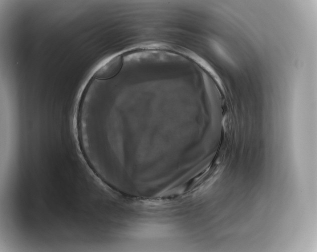 X0000103220959200809181501