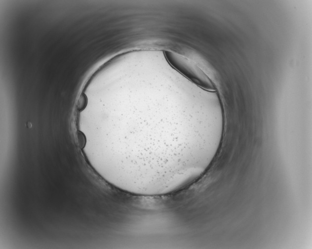 X0000103220960200809181501