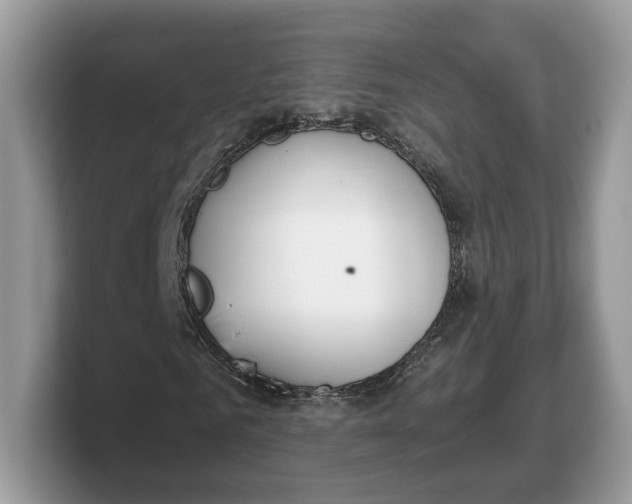 X0000103220961200809181500