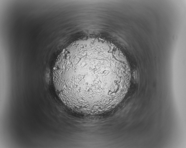 X0000103220963200809181500