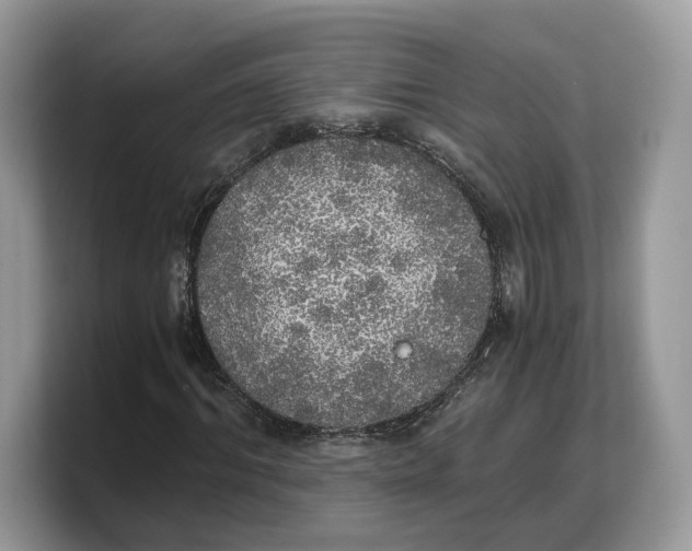 X0000103220964200809181500