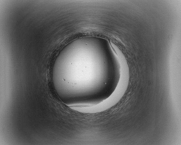 X0000103220965200809181500