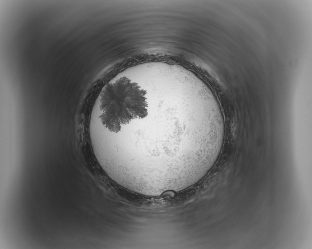 X0000103220968200809181500