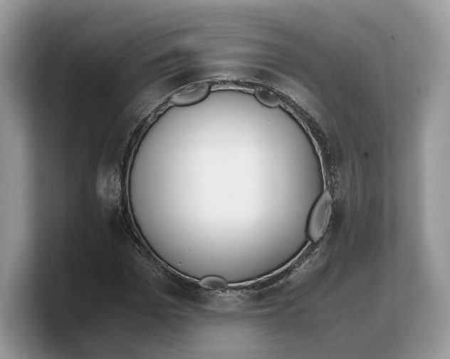 X0000103220969200809181500