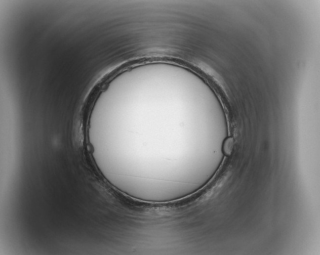 X0000103220973200809181500