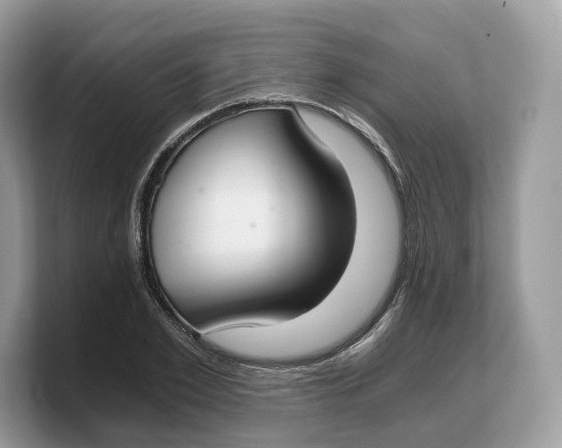 X0000103220981200809181500