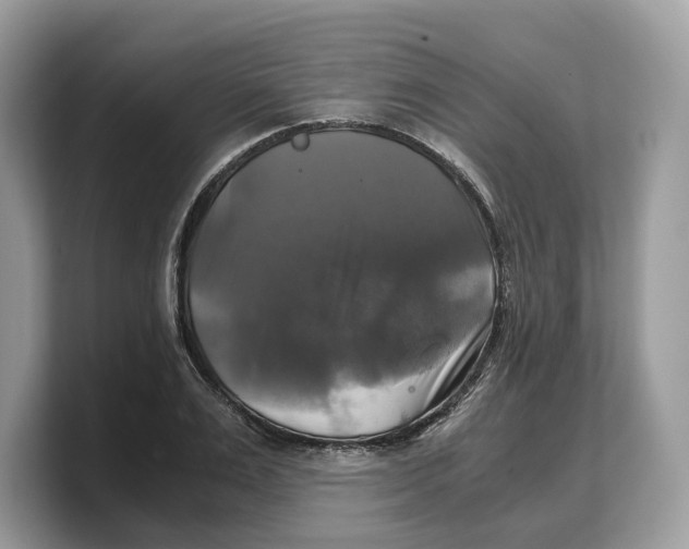 X0000103220983200809181500