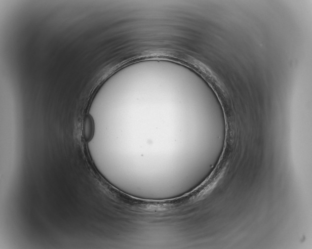 X0000103220985200809181500