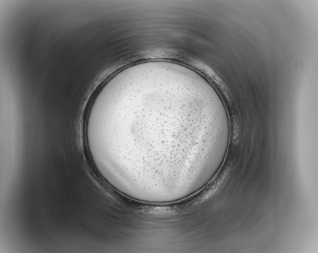 X0000103220986200809181500