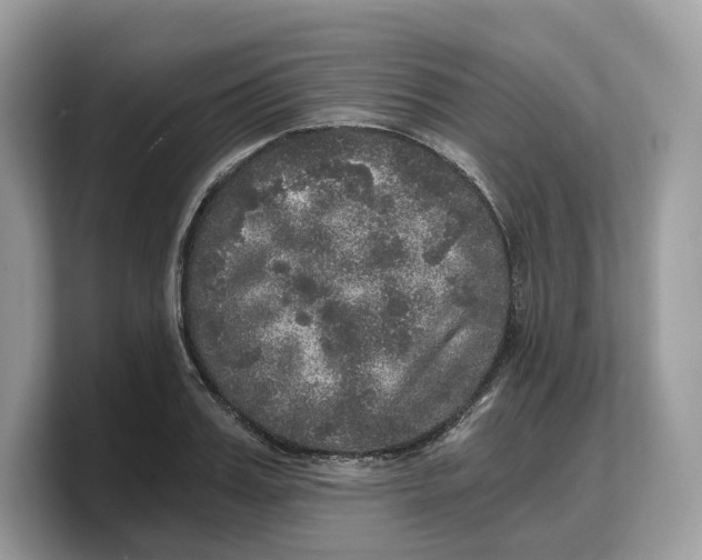 X0000103220987200809181500