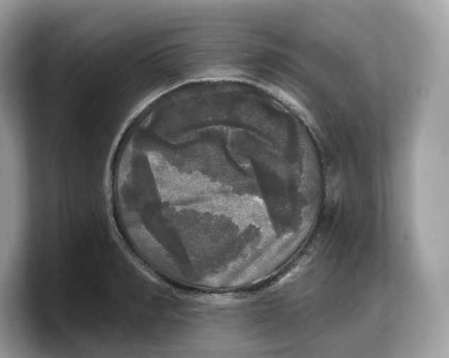 X0000103220990200809181500