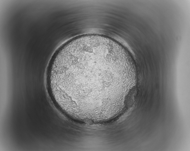 X0000103220991200809181500