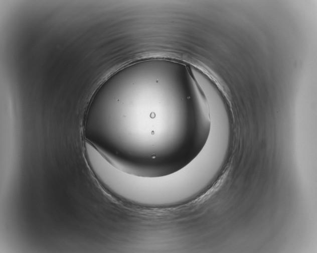 X0000103220993200809181500