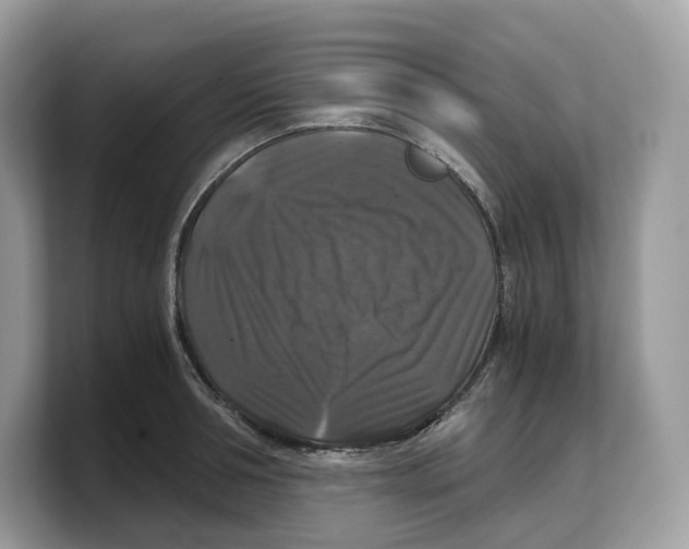 X0000103220994200809181500