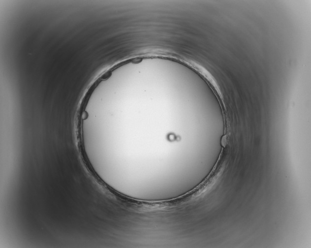 X0000103220997200809181500