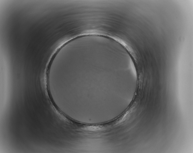 X0000103220998200809181500