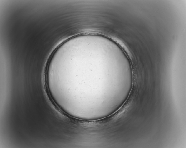 X0000103220999200809181500