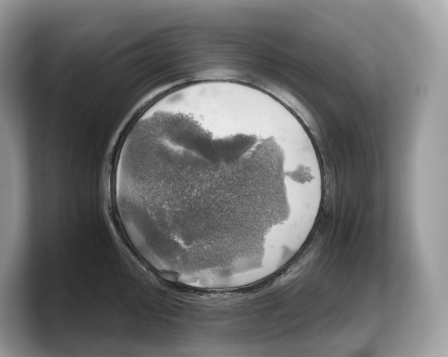 X0000103221000200809181500