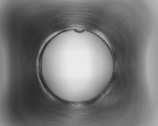 X0000103221003200809181500