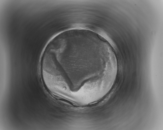 X0000103221004200809181500