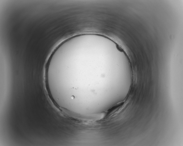 X0000103221006200809181500