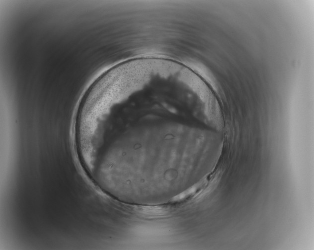 X0000103221007200809181500