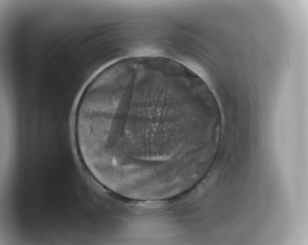 X0000103221008200809181500