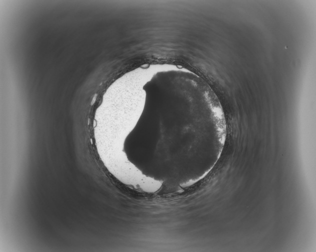 X0000103221009200809181459