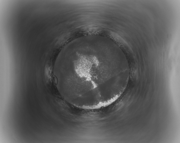 X0000103221010200809181459