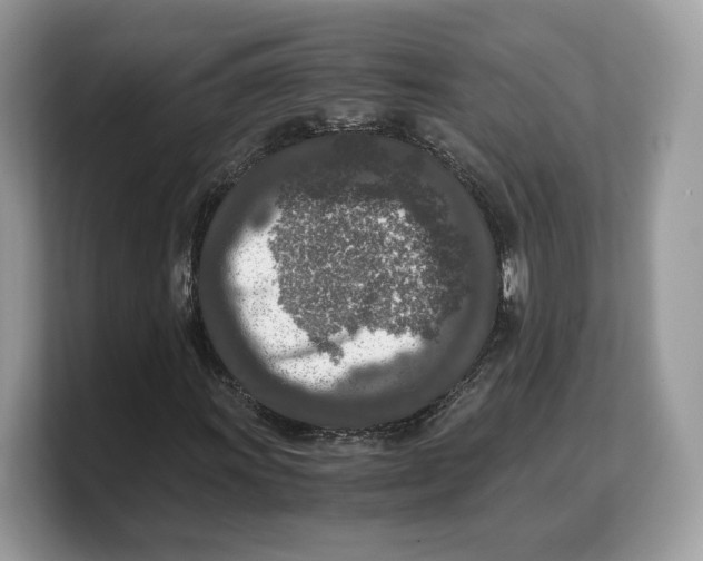 X0000103221011200809181459